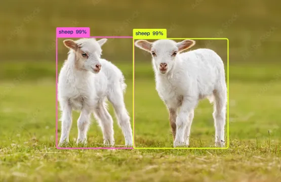 Object detection